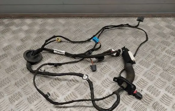 Audi Q3 F3 Front door wiring loom 83A971029PQ