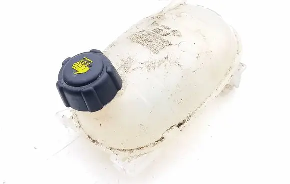 Renault Captur II Coolant expansion tank/reservoir 217102572R 4409