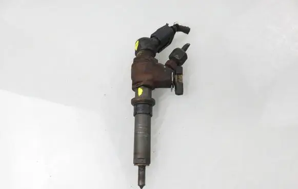Peugeot Partner Fuel injector 9636819380
