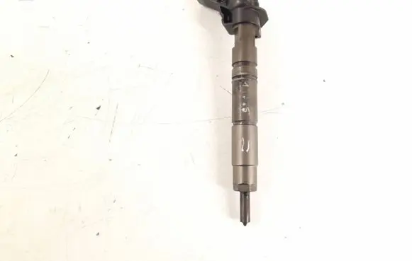 Mercedes-Benz R W251 Fuel injector 6420701387 6420701987