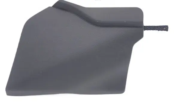Lexus NX Front sill trim cover 5881778010