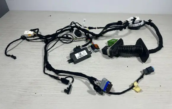 Front door wiring loom