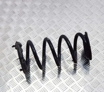 Tesla Model 3 Rear coil spring 104447291E