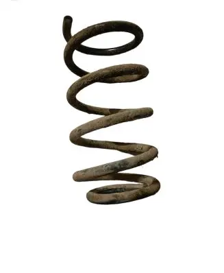 Hyundai Santa Fe Rear coil spring