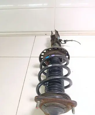 Hyundai Kona I Front shock absorber with coil spring 54660E4040