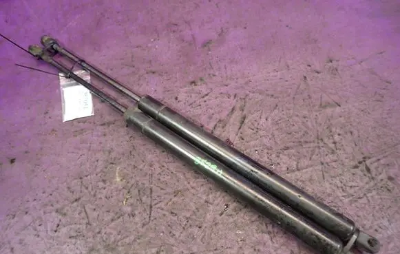 Tailgate strut