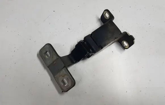 Dacia Dokker Loading door hinge set 
