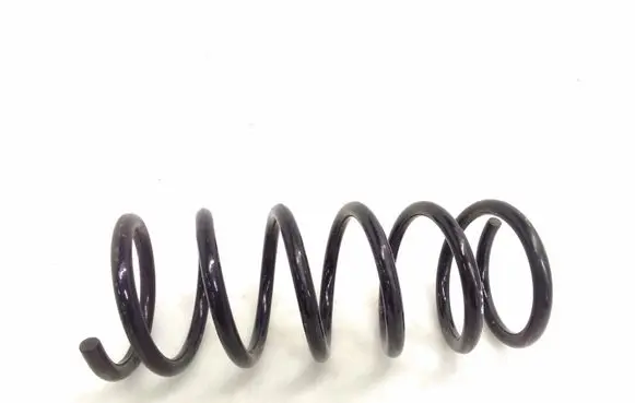 Rear coil spring