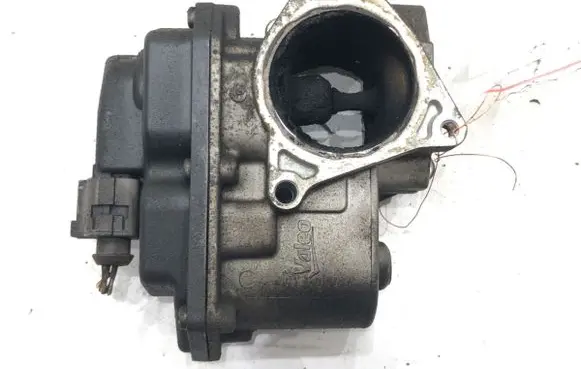 EGR valve