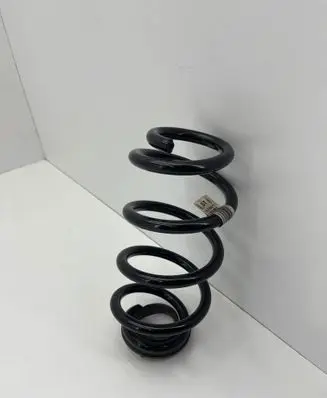 Rear coil spring