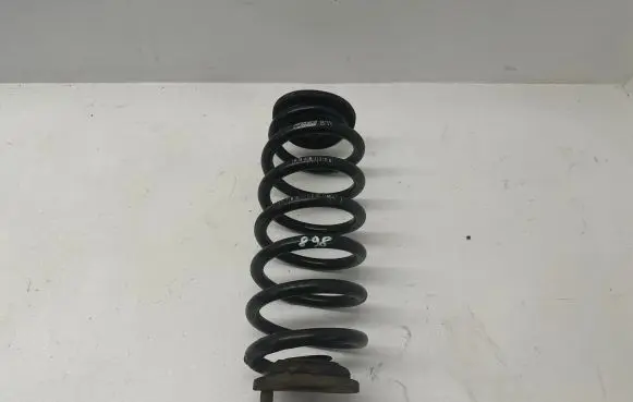Volkswagen PASSAT B7 Rear coil spring