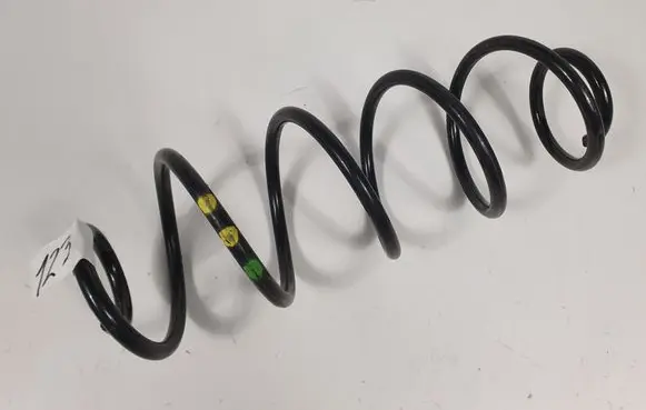 Rear coil spring
