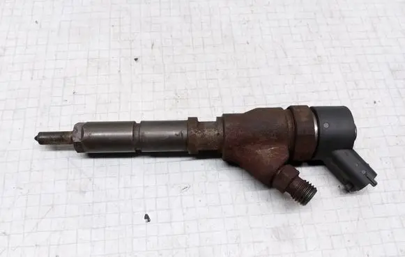 Citroen Xsara Picasso Fuel injector 9641742880
