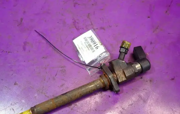 Peugeot 307 CC Fuel injector 