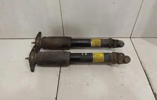 Chevrolet Corvette C6 Rear shock absorber with coil spring 10302879