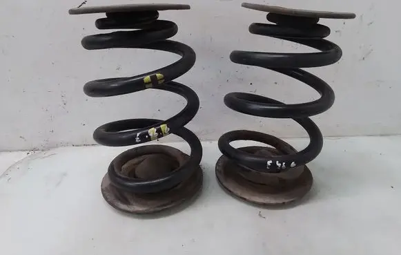 Rear coil spring