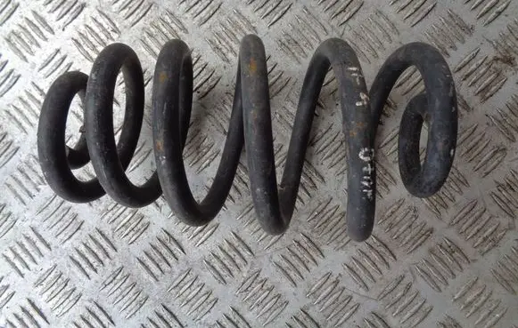Rear coil spring