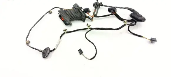 Volkswagen PASSAT B7 Rear door wiring loom 3C0959843A