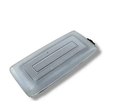 Volkswagen Tiguan Front seat light 10A947109A