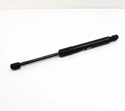 Tesla Model 3 Tailgate/trunk strut/damper 3004550580N 109156000B