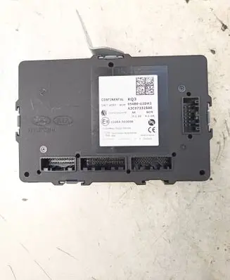 Central body control module