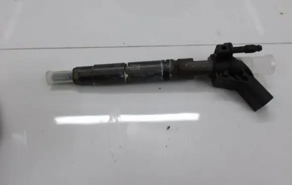 Mercedes-Benz R W251 Fuel injector A6420701387