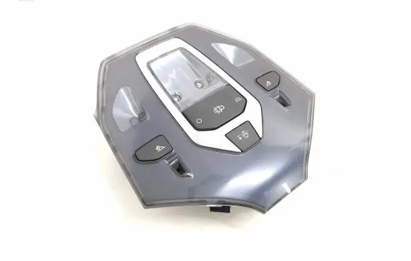 Citroen DS5 Front seat light 96702429 N1003 101905107