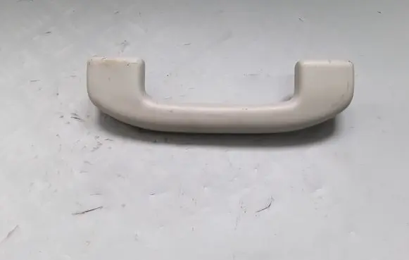 Nissan Leaf I (ZE0) Front interior roof grab handle OM9H3