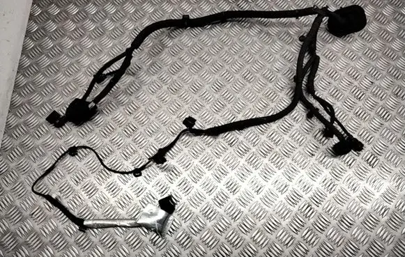 Other wiring loom