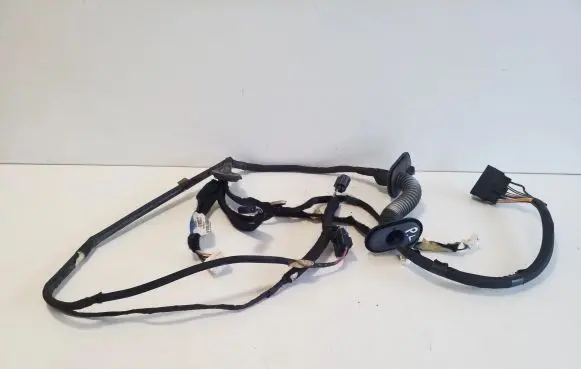 Renault Trafic III (X82) Front door wiring loom 241259444R