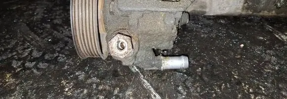 Power steering pump