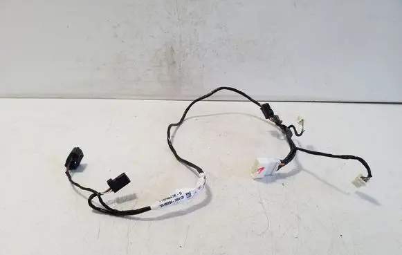 Other wiring loom