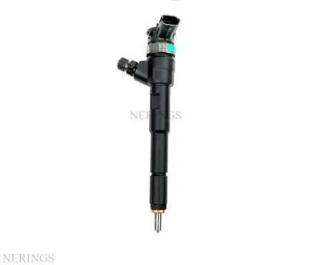 Dacia Duster Fuel injector 0445110652