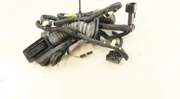 BMW X7 G07 Rear door wiring loom 8779824 35607861