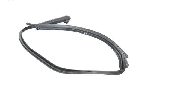 Tesla Model 3 Rubber seal front coupe door 
