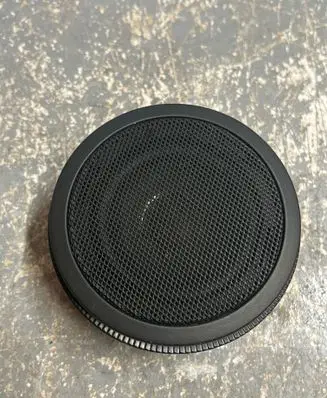 Panel speaker
