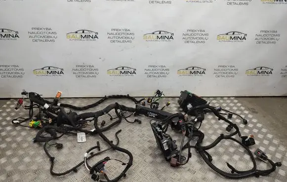 Peugeot Traveller Engine installation wiring loom 9831821480 9804848180