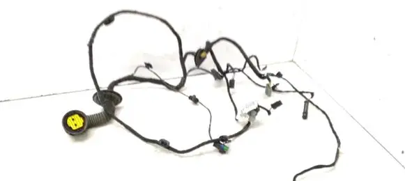 Citroen C6 Rear door wiring loom 9663411980