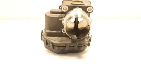 Throttle body valve
