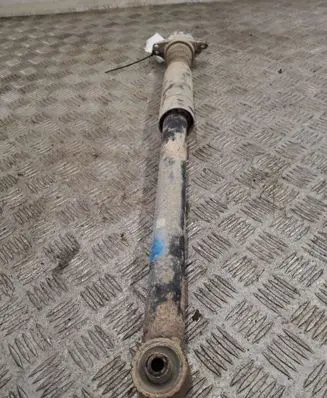 Rear shock absorber/damper
