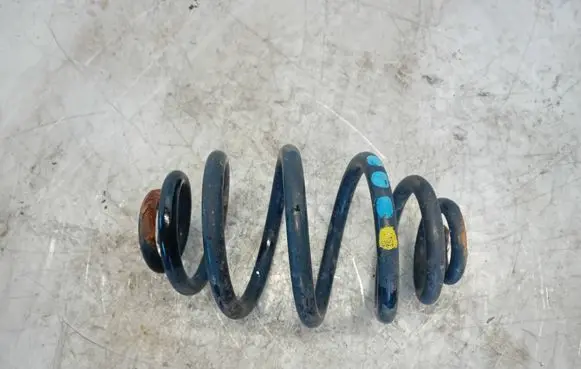 Rear coil spring