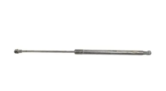 Tailgate/trunk strut/damper