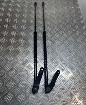 Tailgate strut