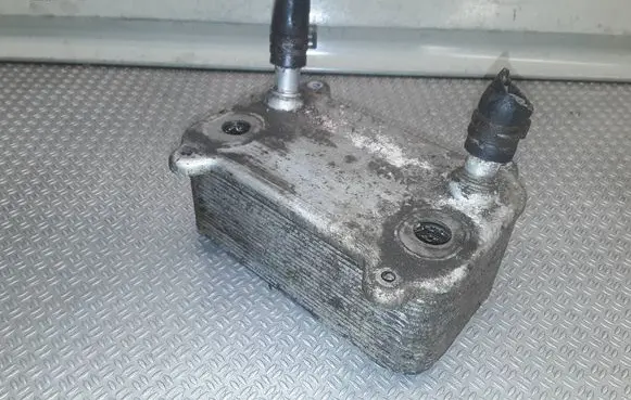 Porsche Cayenne (9PA) Oil filter mounting bracket 8463341