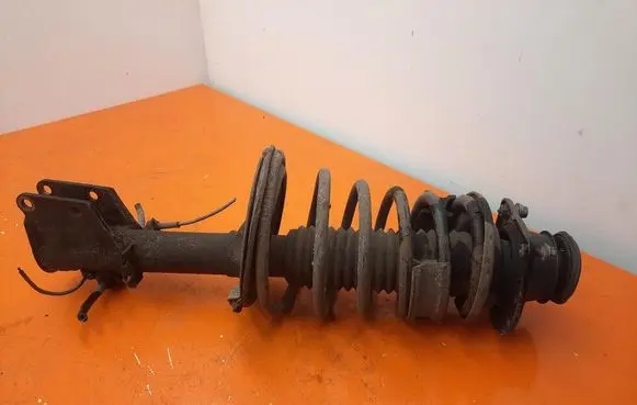 Fiat Doblo Front shock absorber with coil spring 46812365