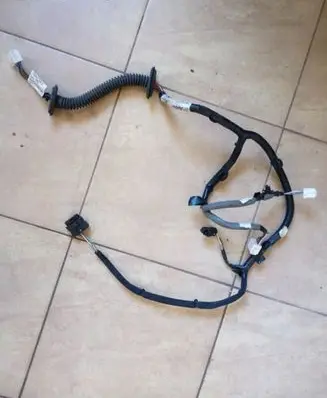 Rear door wiring loom