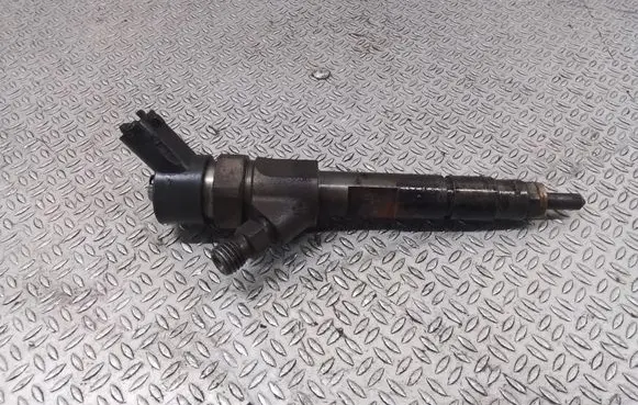 Renault Espace - Grand espace IV Fuel injector 8200100272 0445110110B