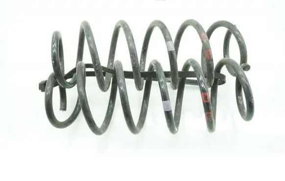 Rear coil spring