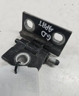 Rear door lower hinge