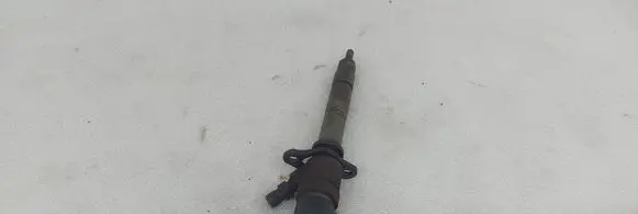Volvo V70 Fuel injector 0445110078